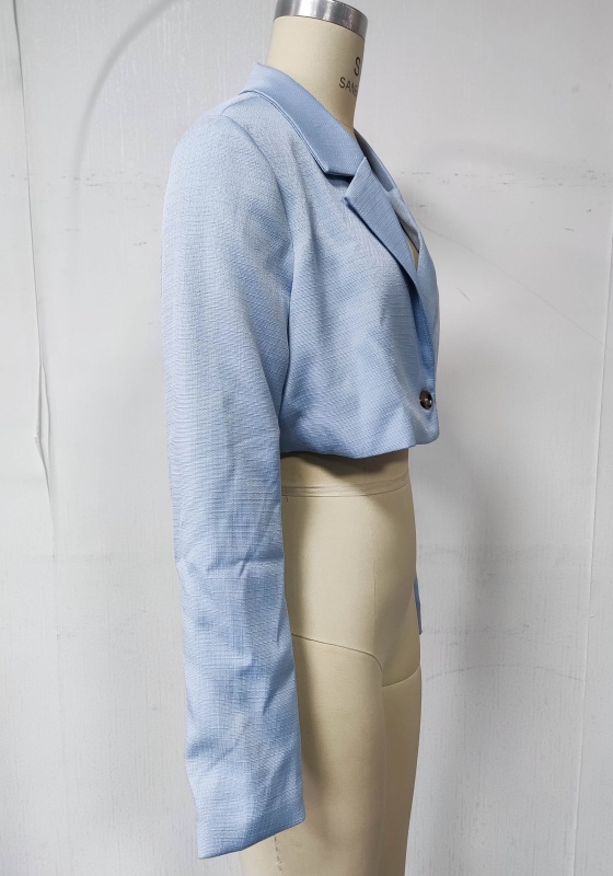 Light Blue Cropped Blazer