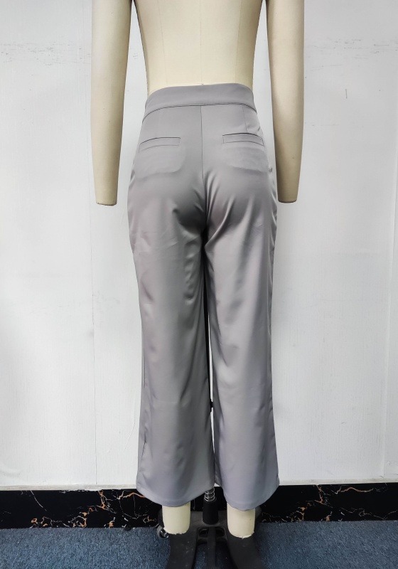 Light Gray Pleated Wide Leg Pants